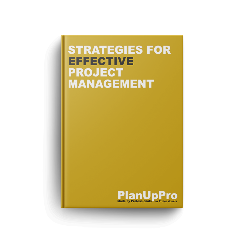 Strategies for Effective Project Management eBook
